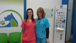 Medici
